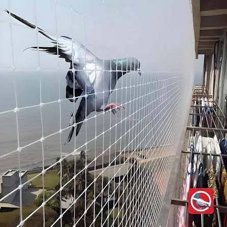 whatsapp image 2025 12 13 at 10.39.48 pm